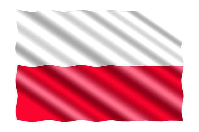 Dentysta w walizce: Jak Polacy budują mobilne kliniki i leczą zęby rodakom na obczyźnie